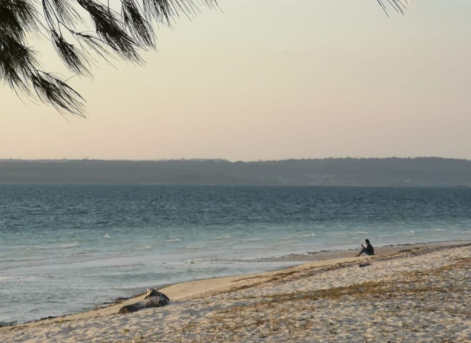 Kawanan Duyung  di Pantai  ini Konon Dulunya adalah Manusia